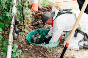 Sewer Line