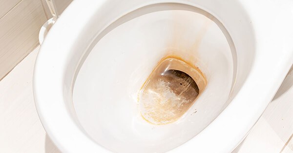 Removing Rust Stains From Toilets Flohawks Blog - How To Get Rid Of Rust Stains In Bathroom