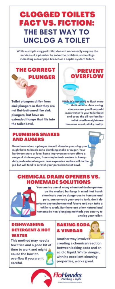 Clogged Toilets Fact vs. Fiction The Best Way to Unclog a Toilet