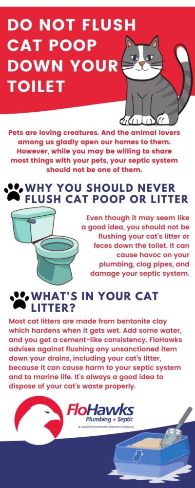 Can you flush cat on sale litter