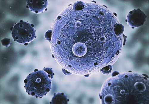 Bacterial Breakdown in Septic Tanks