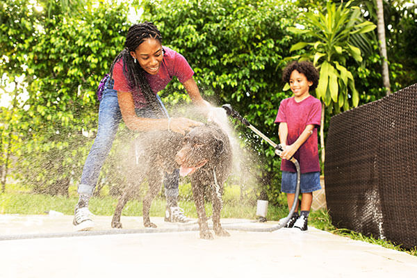 Clogged Toilets Fact vs. Fiction: The Best Way to Unclog a Toilet -  FloHawks Plumbing + Septic