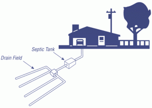 What’s Going On In My Drainfield?