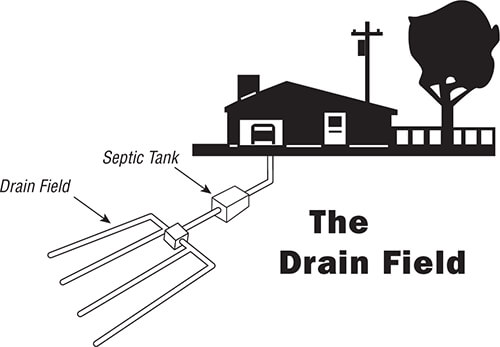 Drain Field System