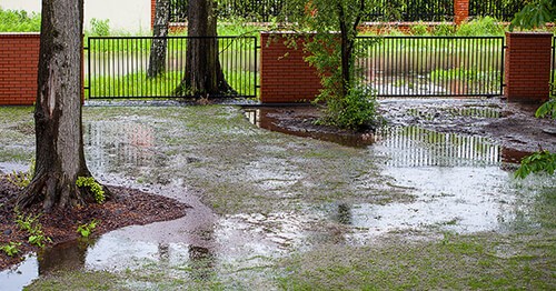 Clogged Toilets Fact vs. Fiction: The Best Way to Unclog a Toilet -  FloHawks Plumbing + Septic