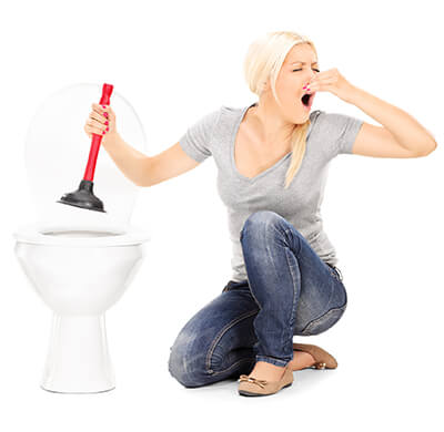 Experienced Toilet Installation and Repair