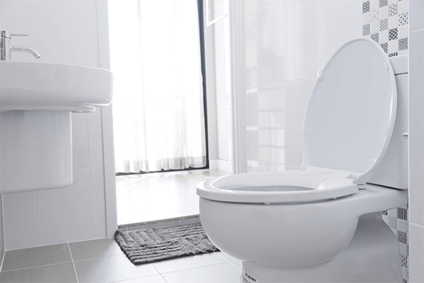 Toilet Repair and Replacement in Lacey, WA