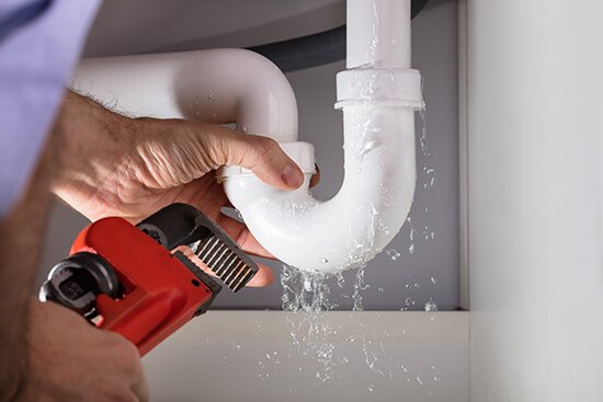 Expert Leak Detection in Puyallup